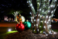 Tree Lighting 2025
